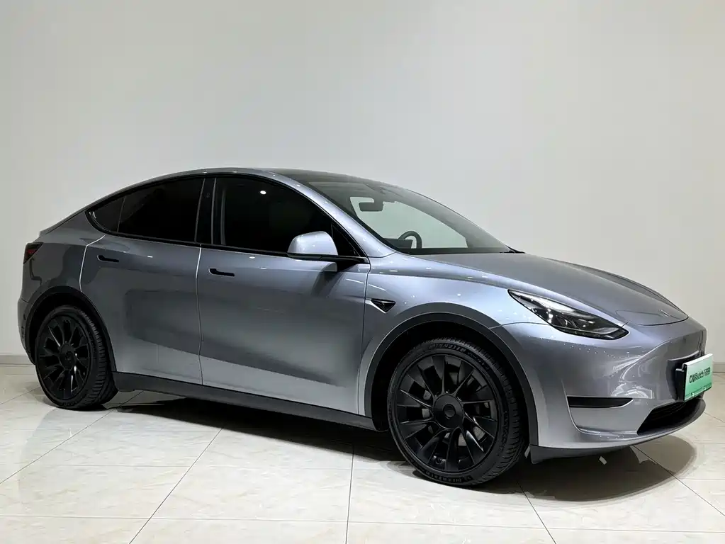 Tesla Model Y — миниатюра 3