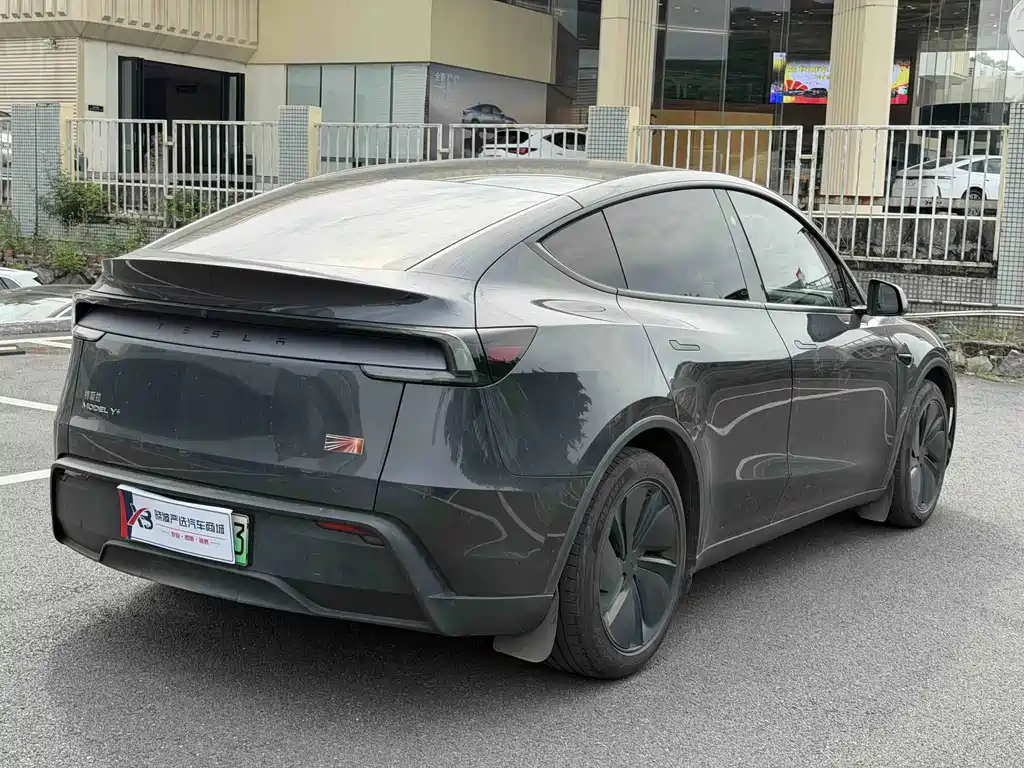 Tesla Model Y — миниатюра 15