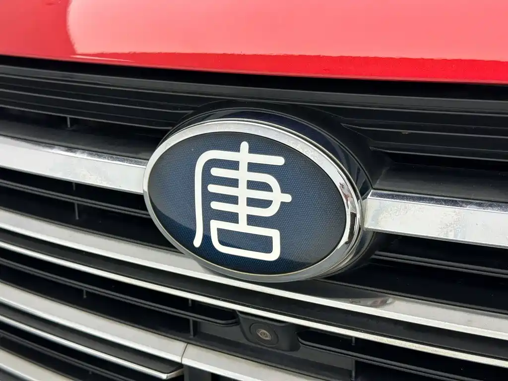 BYD Tang New Energy — миниатюра 26