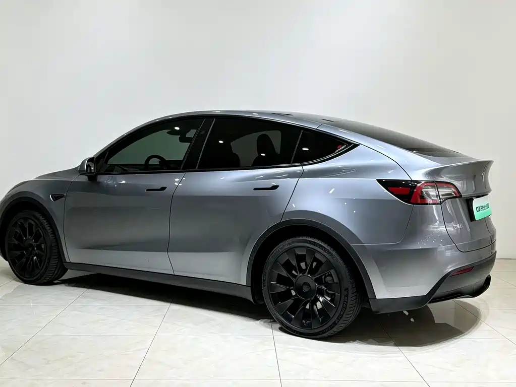 Tesla Model Y — миниатюра 17
