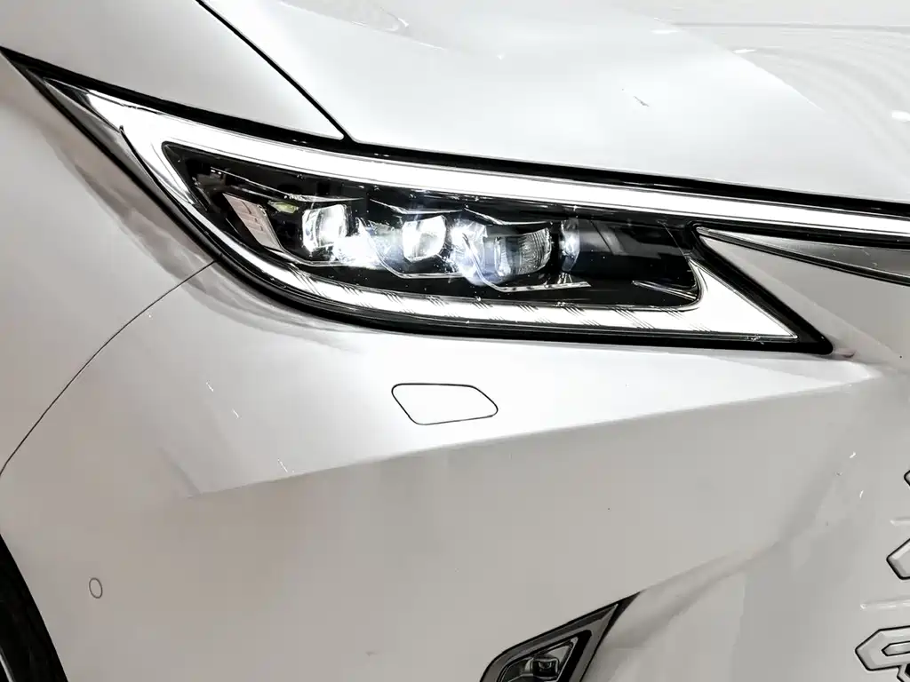 Lexus LM 2025 500h мест