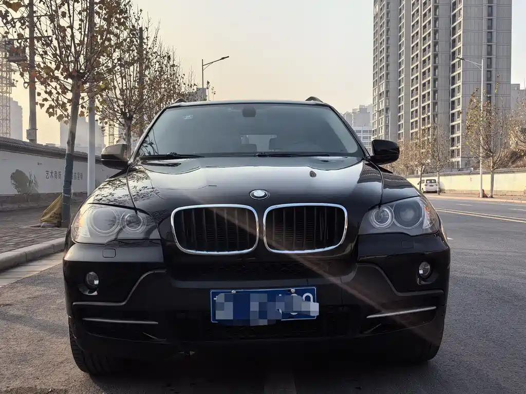 BMW X5 (Import) 2010
