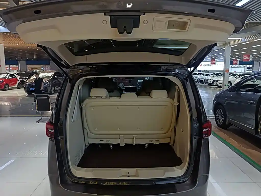 Buick GL8 — миниатюра 19