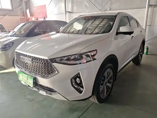 HAVAL F7X