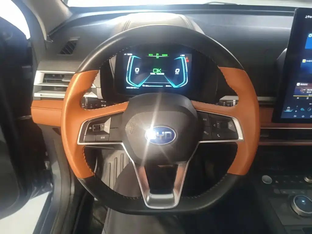 BYD e2 — миниатюра 11