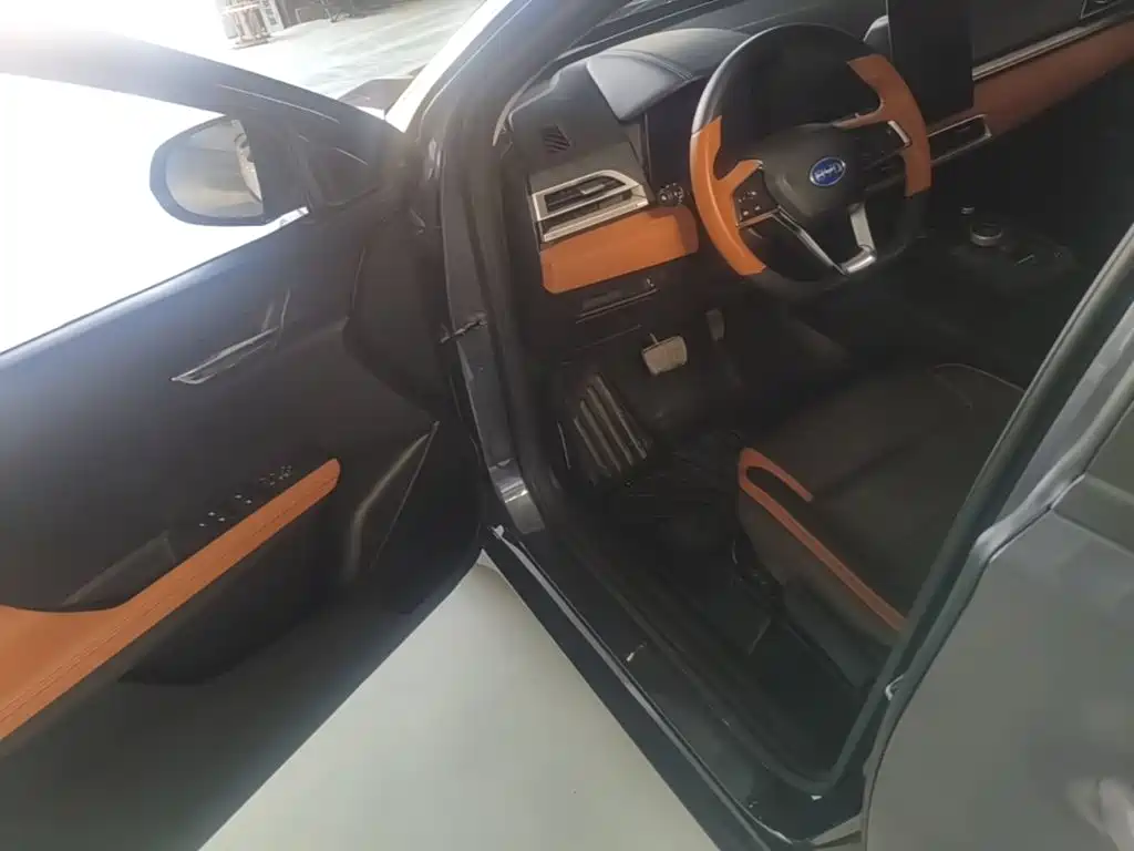 BYD e2 — миниатюра 16