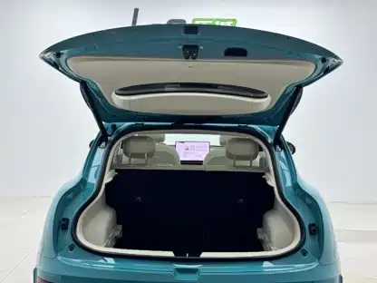 Ora Ora 5 EV — миниатюра 13