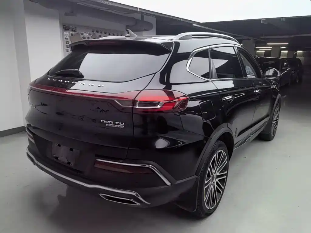 Leopaard Mattu — миниатюра 7
