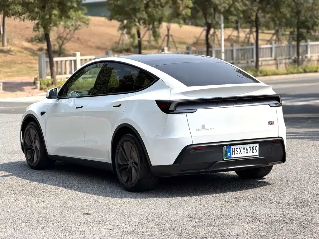 Tesla Model Y — миниатюра 4
