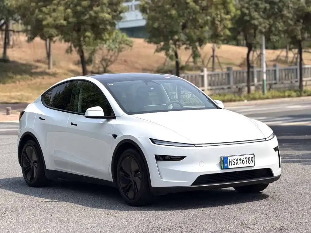 Tesla Model Y — миниатюра 3