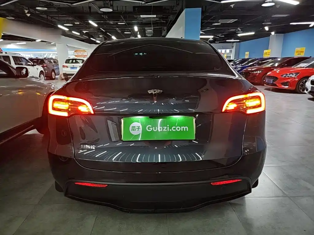 Tesla Model Y — миниатюра 6