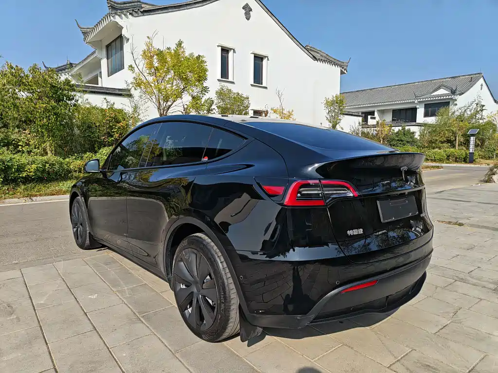 Tesla Model Y — миниатюра 9