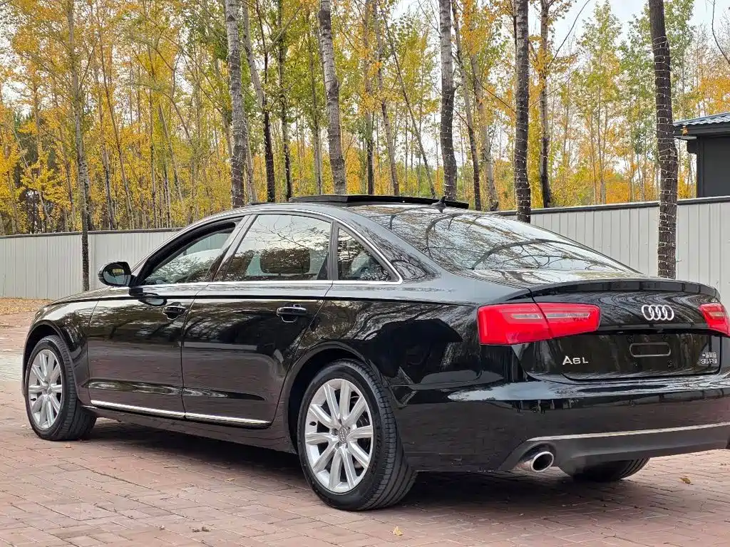 Audi A6L — миниатюра 14