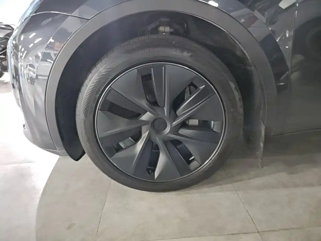 Tesla Model Y — миниатюра 23
