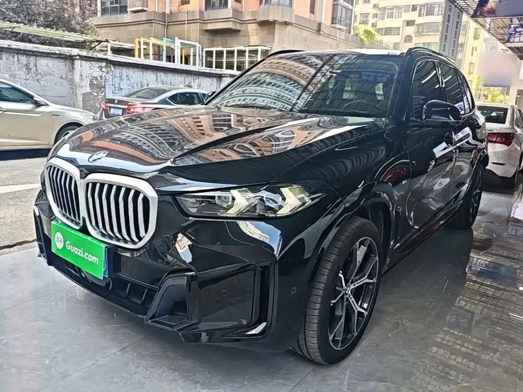 BMW X5 — миниатюра 2