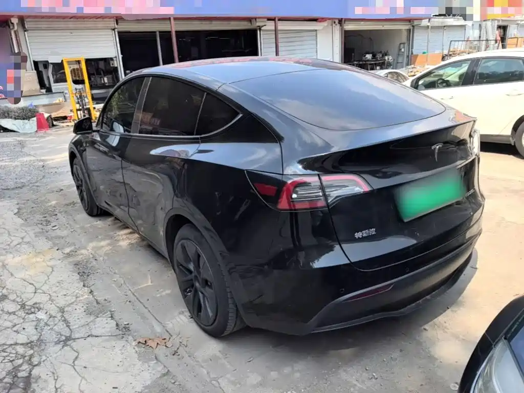 Tesla Model Y — миниатюра 5