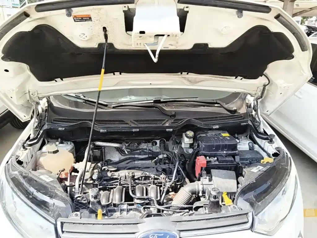 Ford Ecosport — миниатюра 20