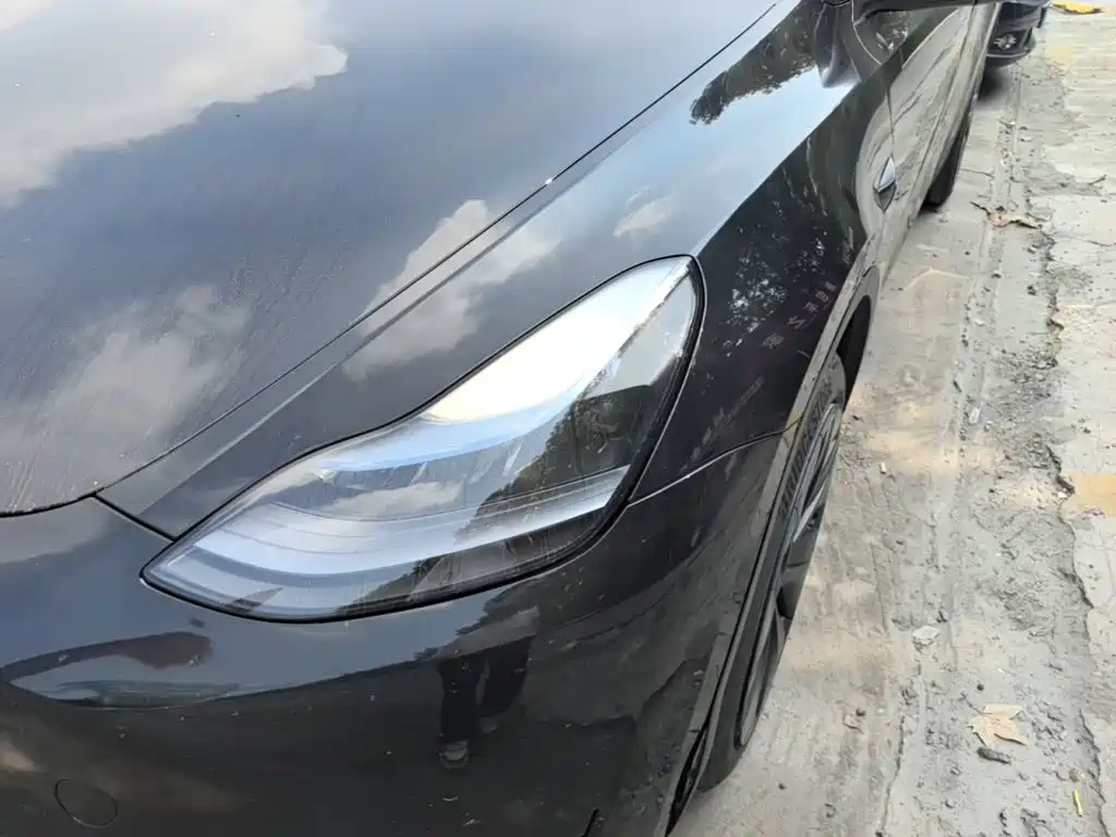 Tesla Model Y — миниатюра 24