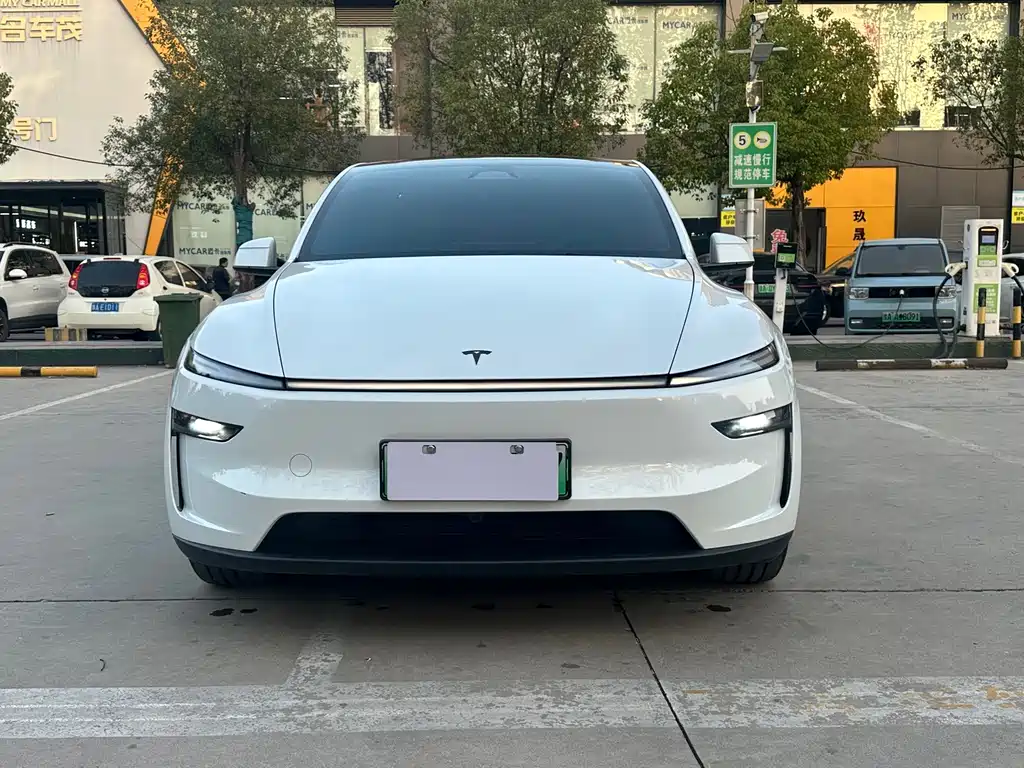 Tesla Model Y — миниатюра 2