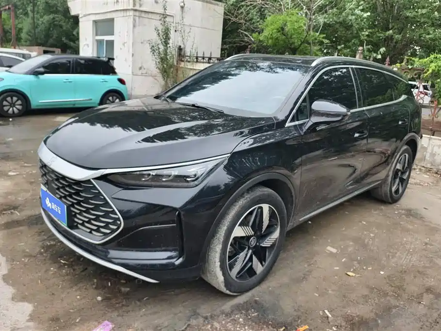 Byd Tang New Energy 2024
