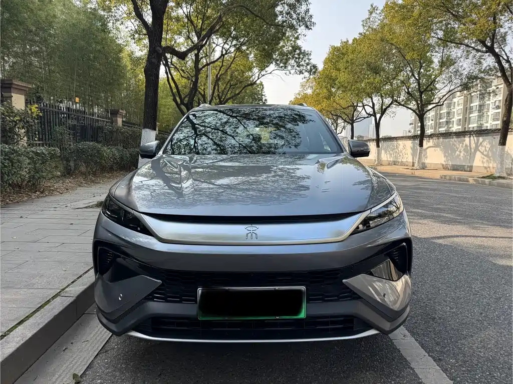 BYD SONGJIANG NEW ENERGY