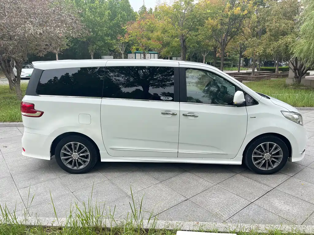 SAIC MAXUS CHASE G10