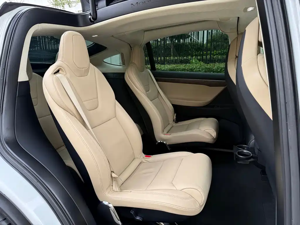 Tesla Model X — миниатюра 17