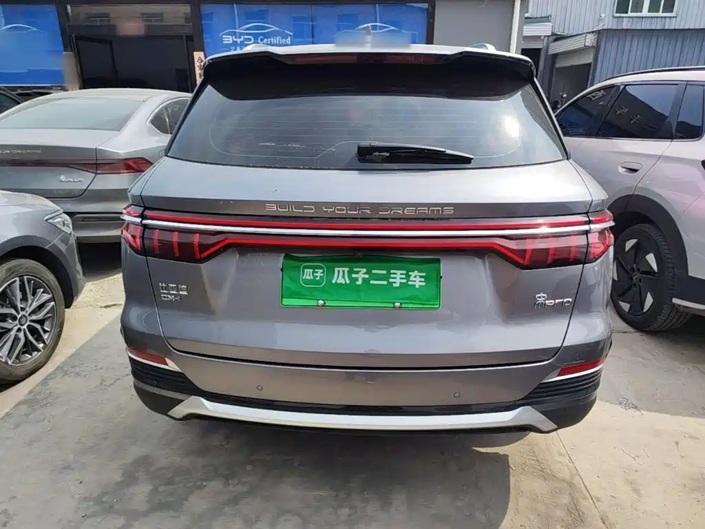 BYD Pro New Energy — миниатюра 6