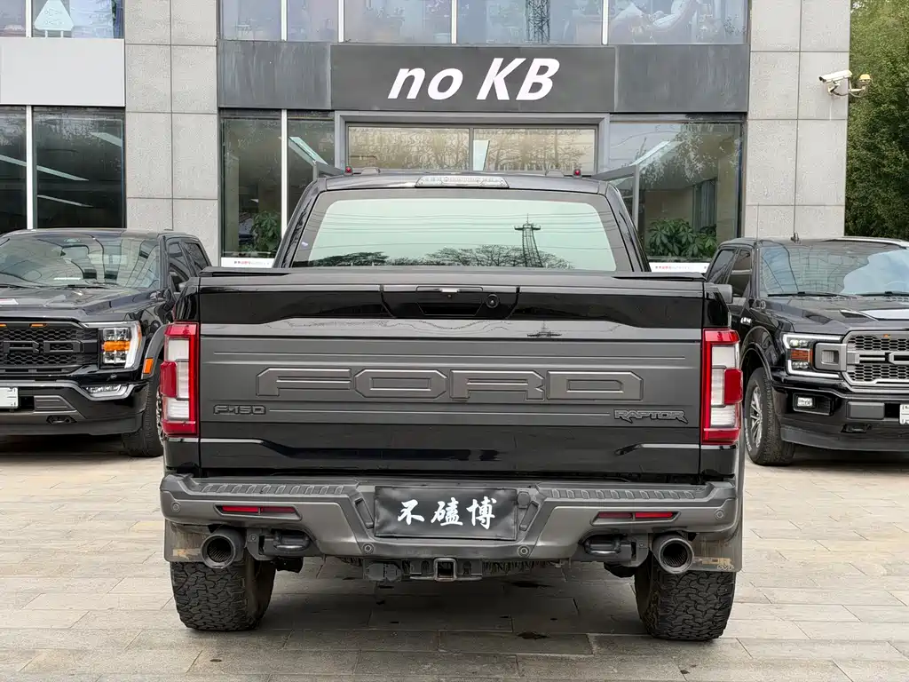 Ford F-150 Raptor — миниатюра 12