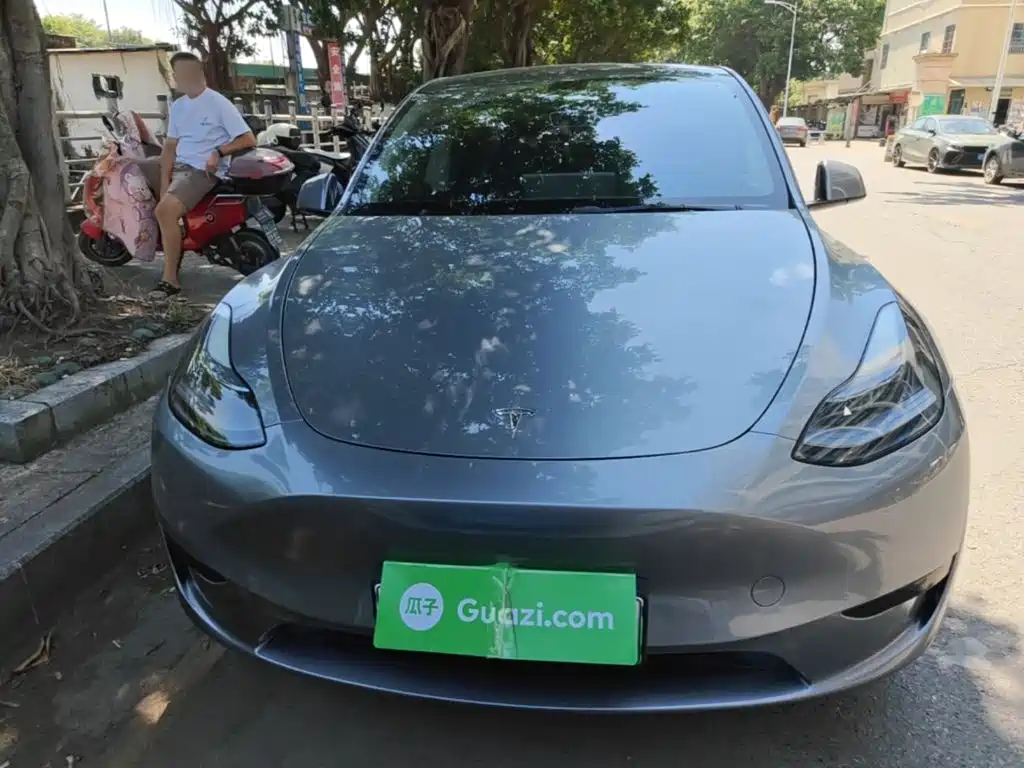 Tesla Model Y — миниатюра 3