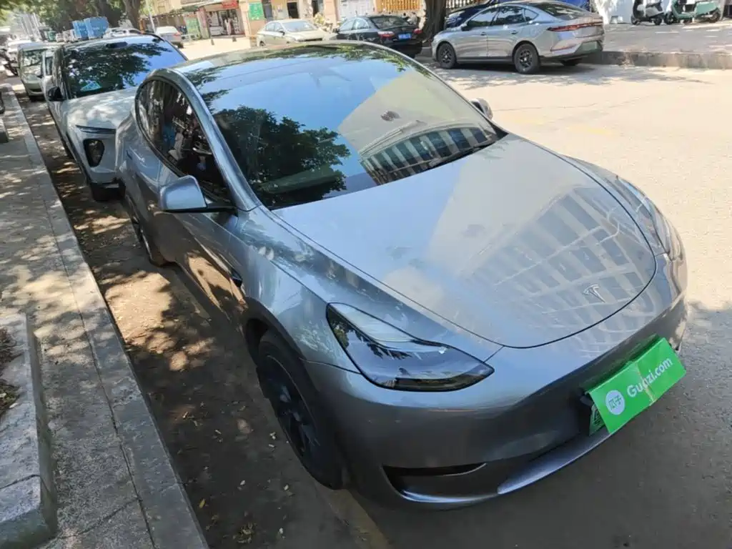 Tesla Model Y — миниатюра 4