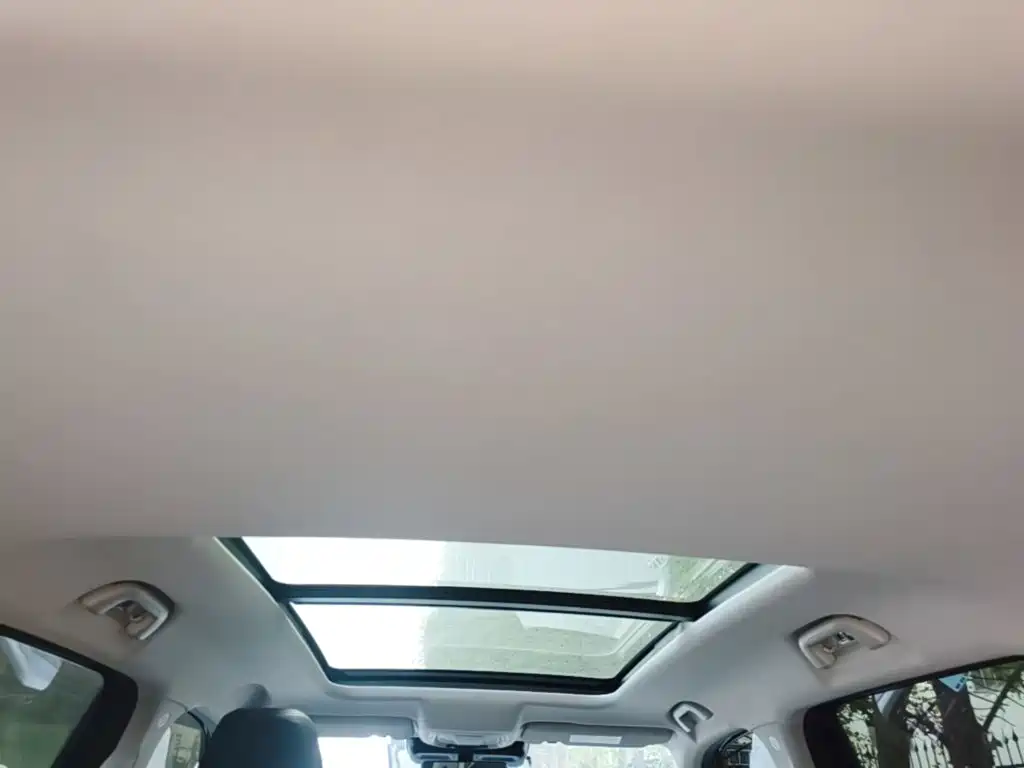 Haval Big Dog — миниатюра 18