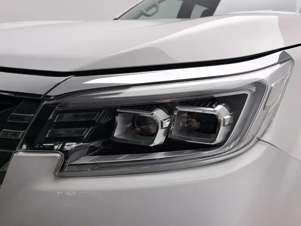 Dongfeng Rich 7 — миниатюра 7