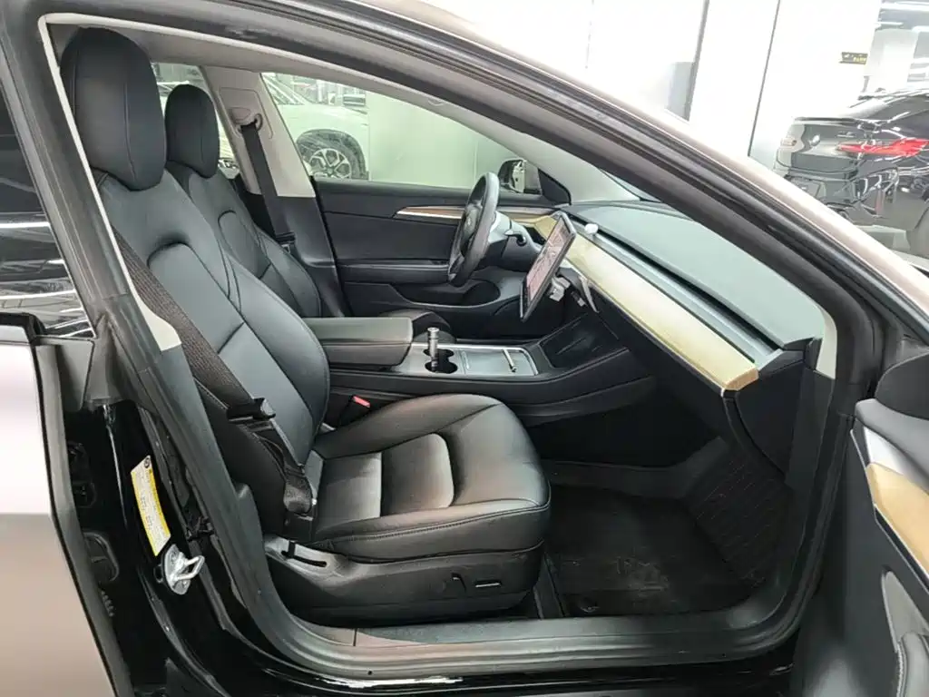 Tesla Model 3 — миниатюра 25