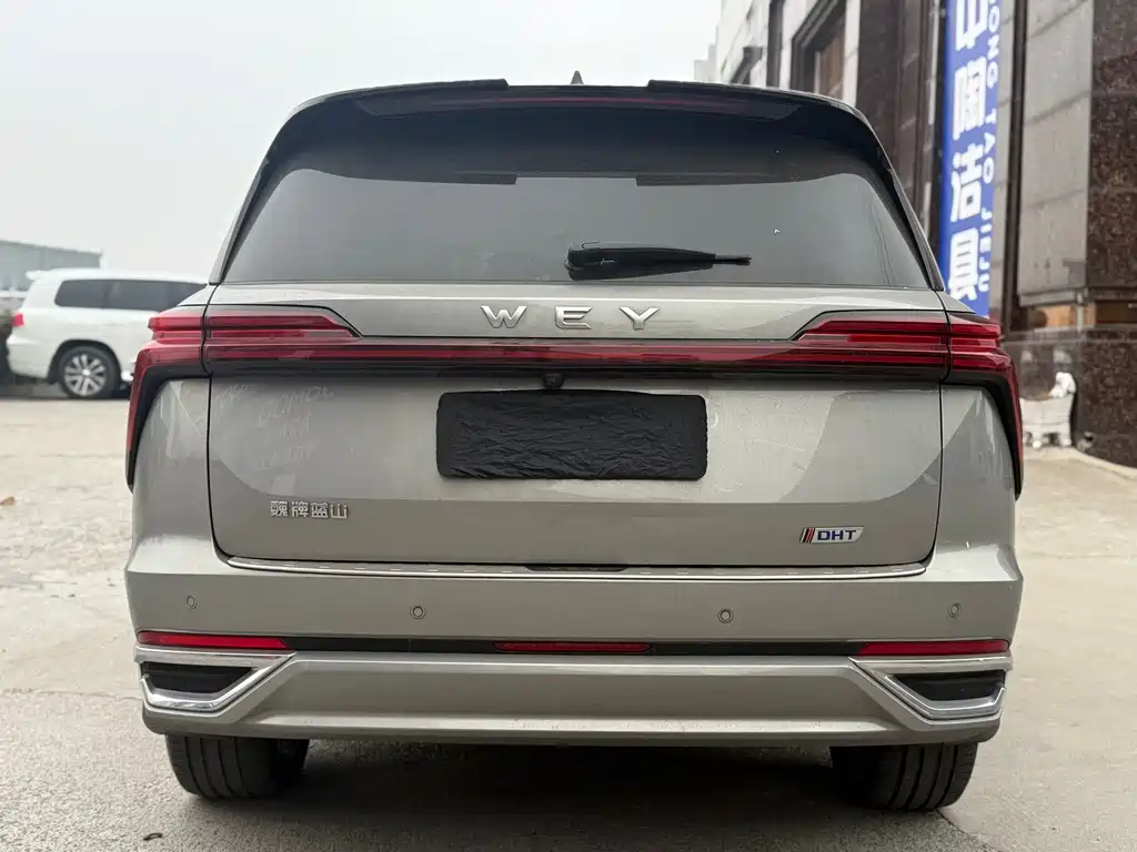 Wey Lanshan 4WD Ultra Long Range Edition, фото 5