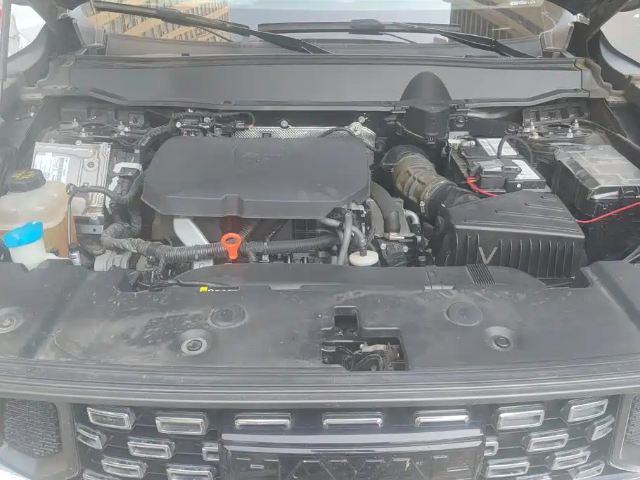Haval Big Dog PLUS — миниатюра 10