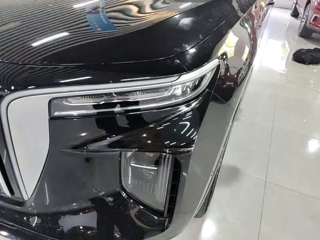 Hongqi Hongqi E-HS9 — миниатюра 24