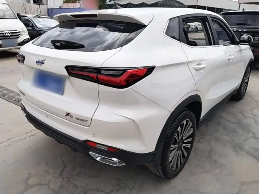 Oshan Oushang X5 — миниатюра 7