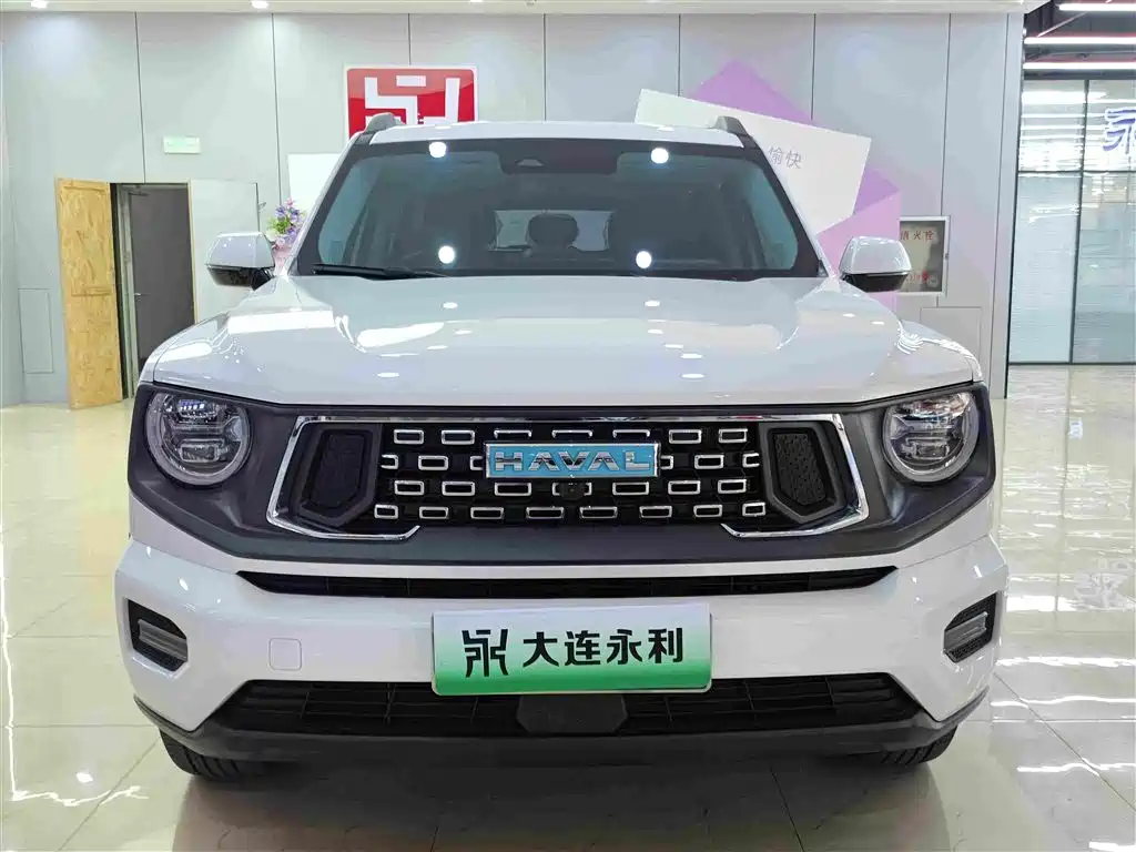 Haval Big Dog PLUS New Energy — миниатюра 2