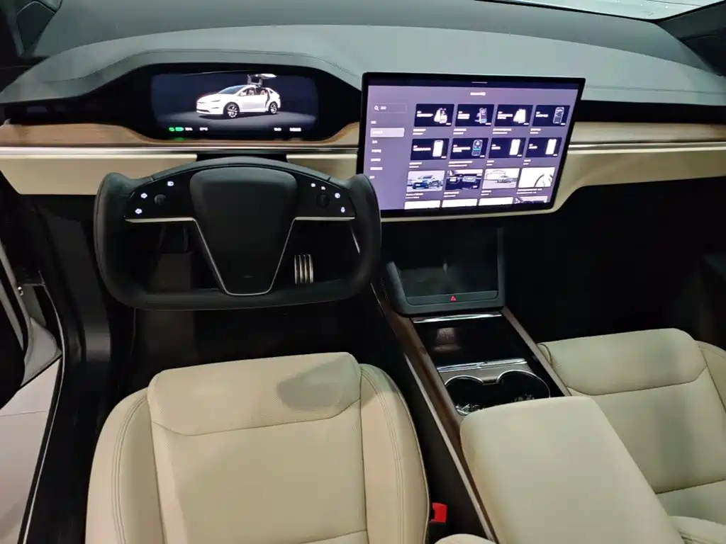 Tesla Model X — миниатюра 10
