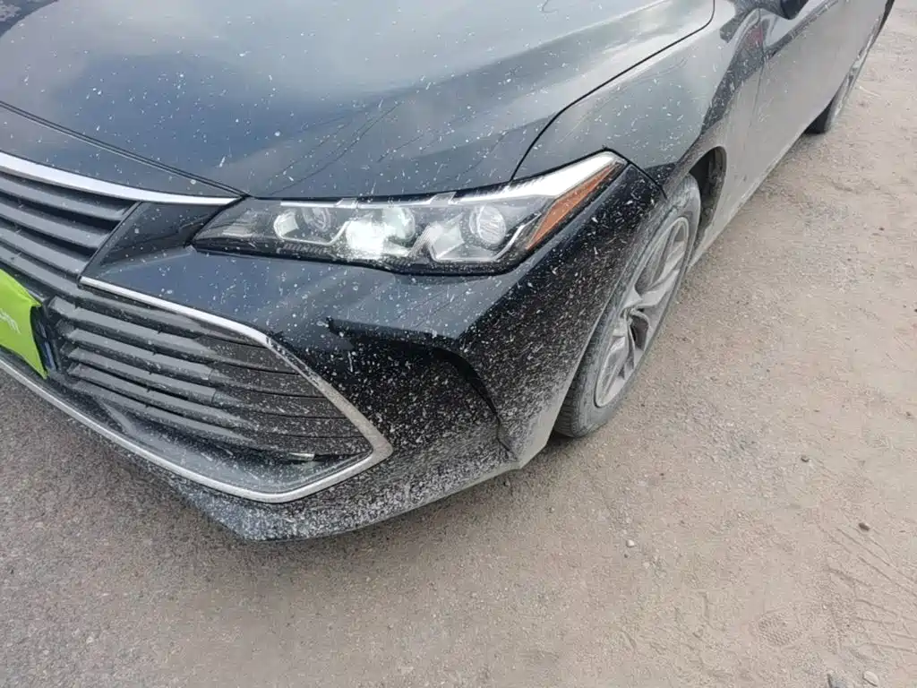 Toyota Avalon — миниатюра 24