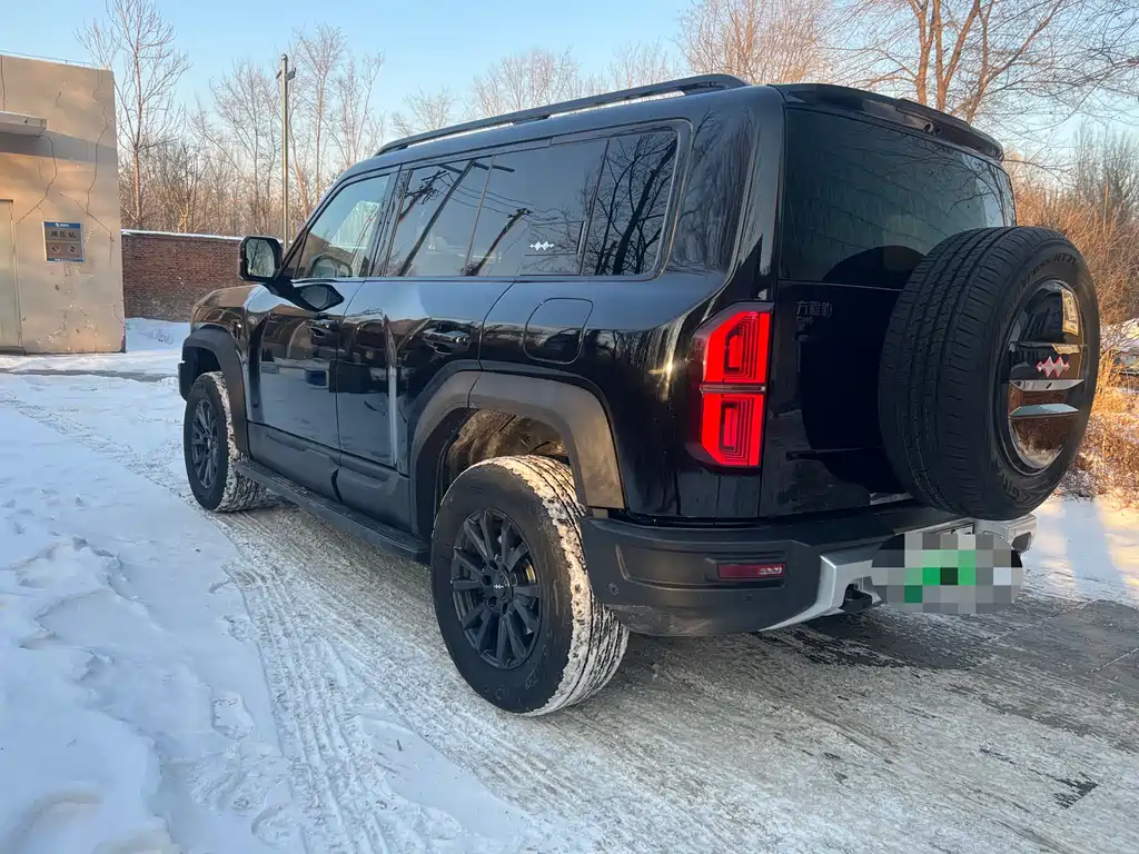 FANG CHENG BAO LEOPARD 5