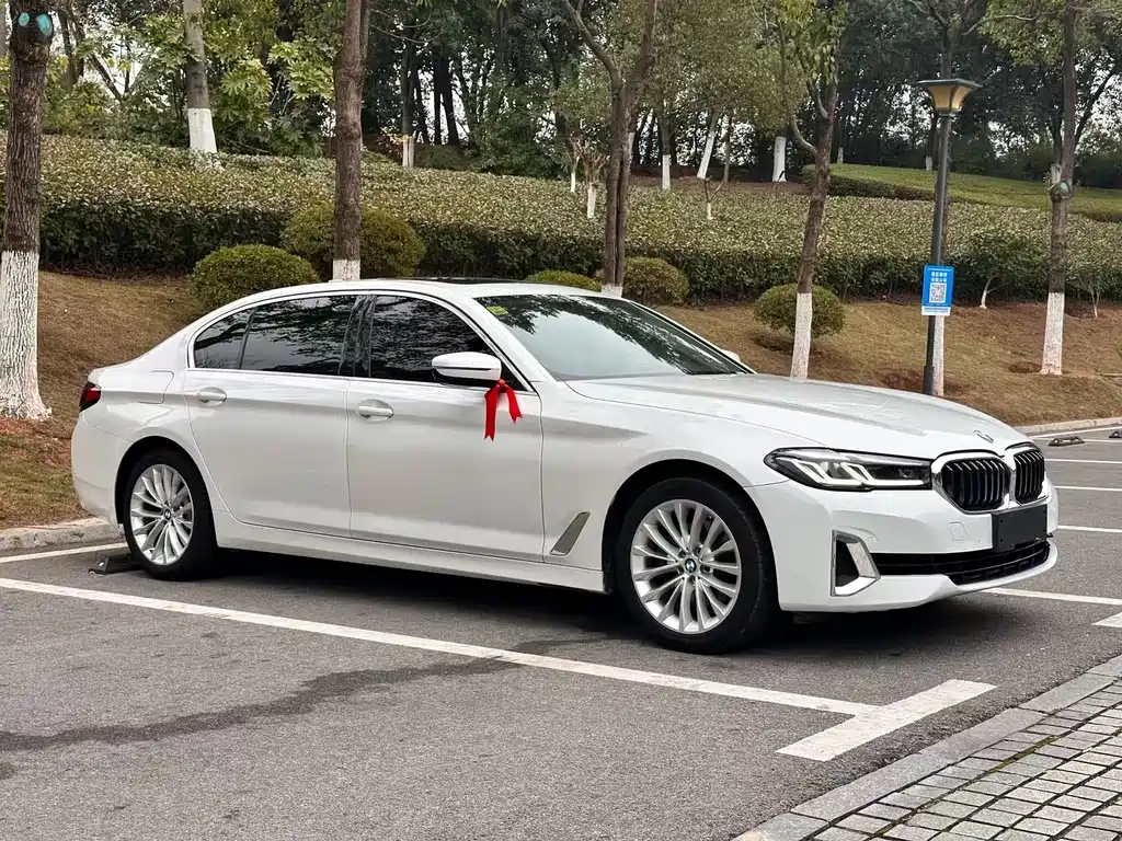 BMW 5 SERIES