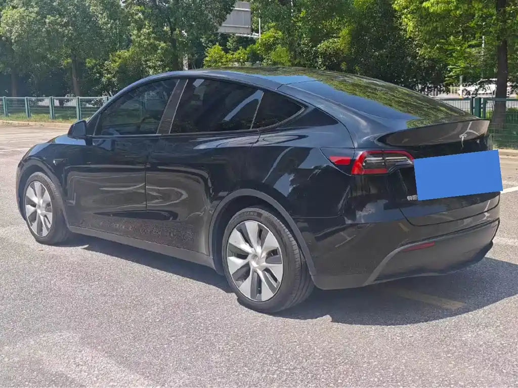 Tesla Model Y — миниатюра 4