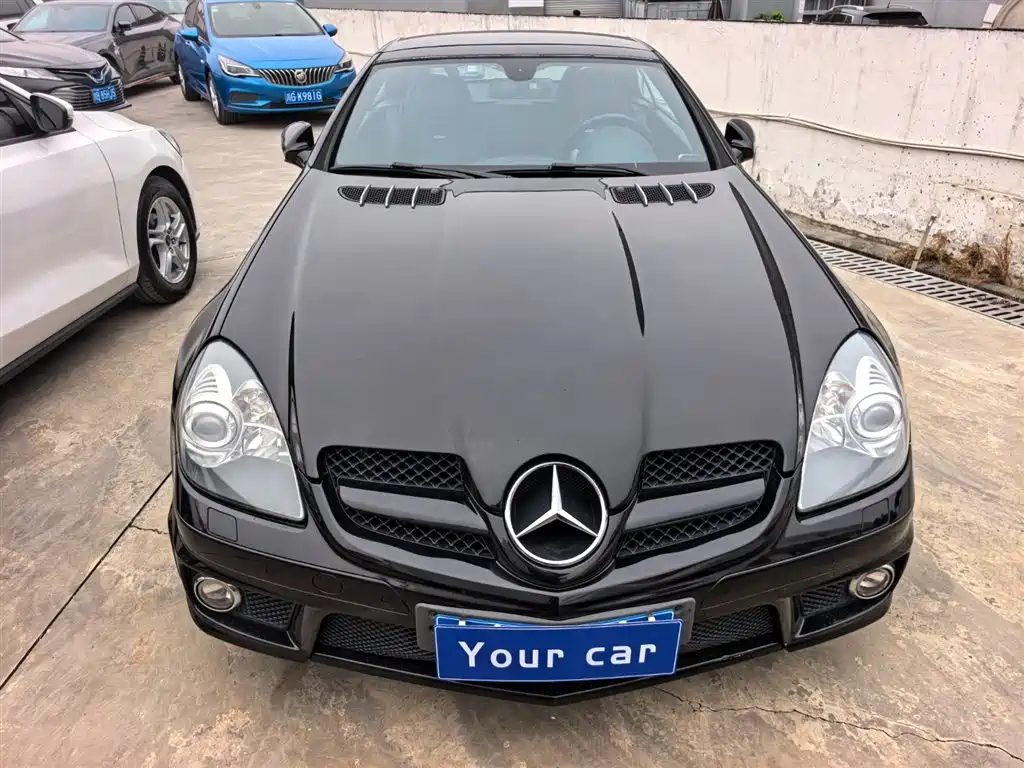 Mercedes-Benz SLK A MG SLK AMG 2010 AMG SLK 55