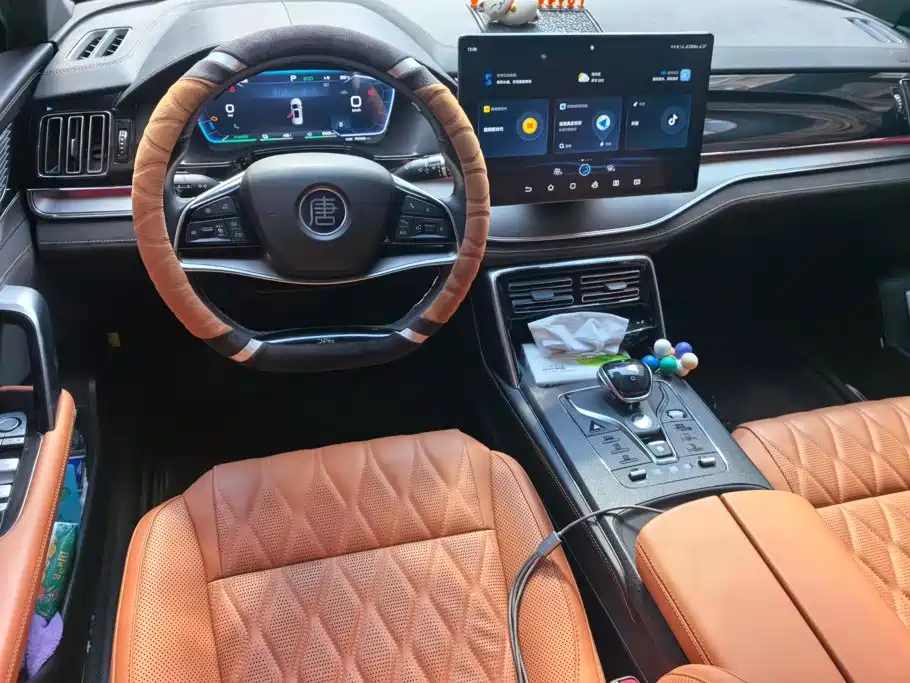 BYD Tang New Energy — миниатюра 12