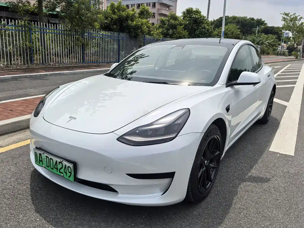 Tesla Model 3 2021 3D1