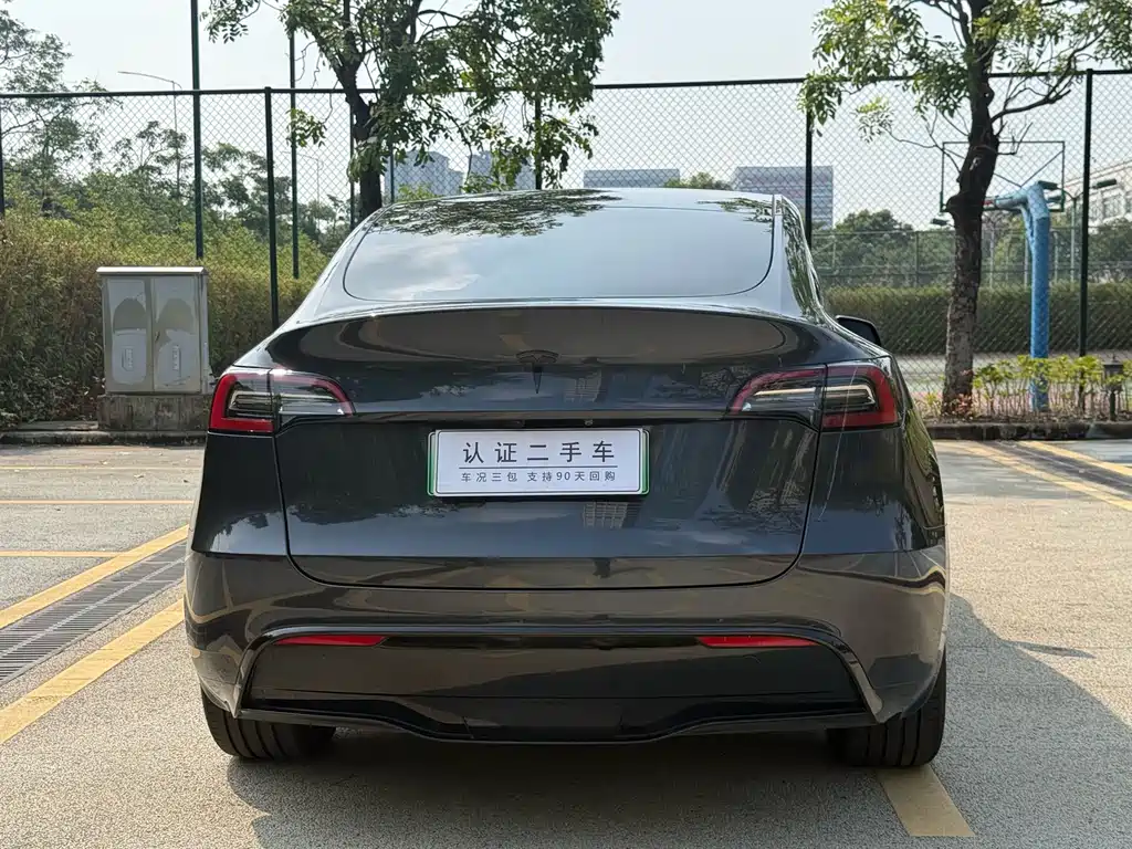 Tesla Model Y — миниатюра 10