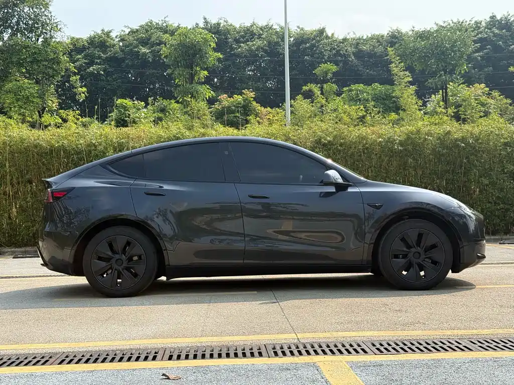 Tesla Model Y — миниатюра 16