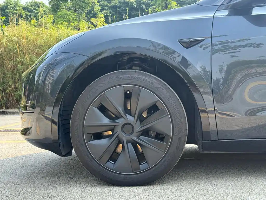 Tesla Model Y — миниатюра 12